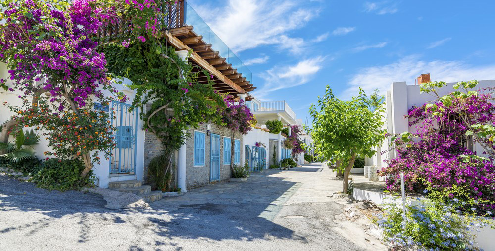 Muğla Şömine Haznesi Rehberi